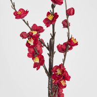 Japonica Blossom Stem 120cm Red