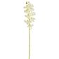 Large Moth Orchid Natural Touch Stem White