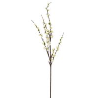 Japonica Blossom Stem 120cm White