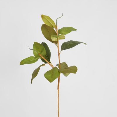 Autumn Magnolia Leaf Spray Stem 70cm