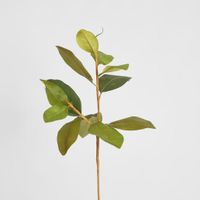 Autumn Magnolia Leaf Spray Stem 70cm