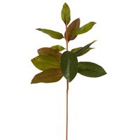 Autumn Magnolia Leaf Spray Stem 70cm