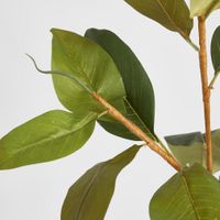 Autumn Magnolia Leaf Spray Stem 70cm