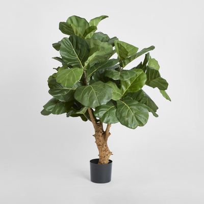 Fiddle Leaf Tree w/70 Leaves 1.2m