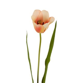Tulip Real Touch Stem 73cm Peach