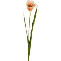 Tulip Real Touch Stem 73cm Peach