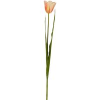 Tulip Real Touch Stem 73cm Peach