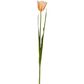 Tulip Real Touch Stem 73cm Peach