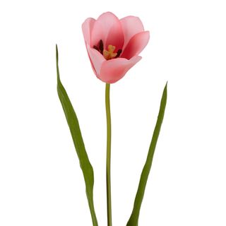 Tulip Real Touch Stem 73cm Pink