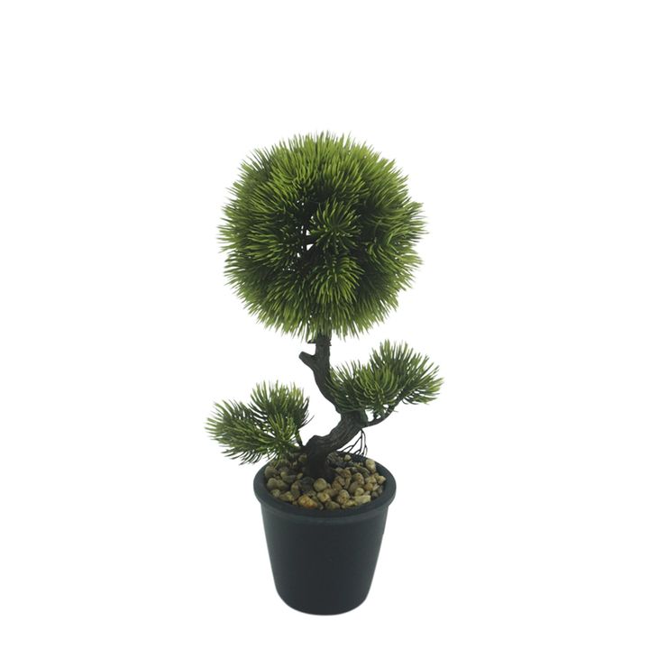 Bonzai Pine Topiary Bush In Black Pot