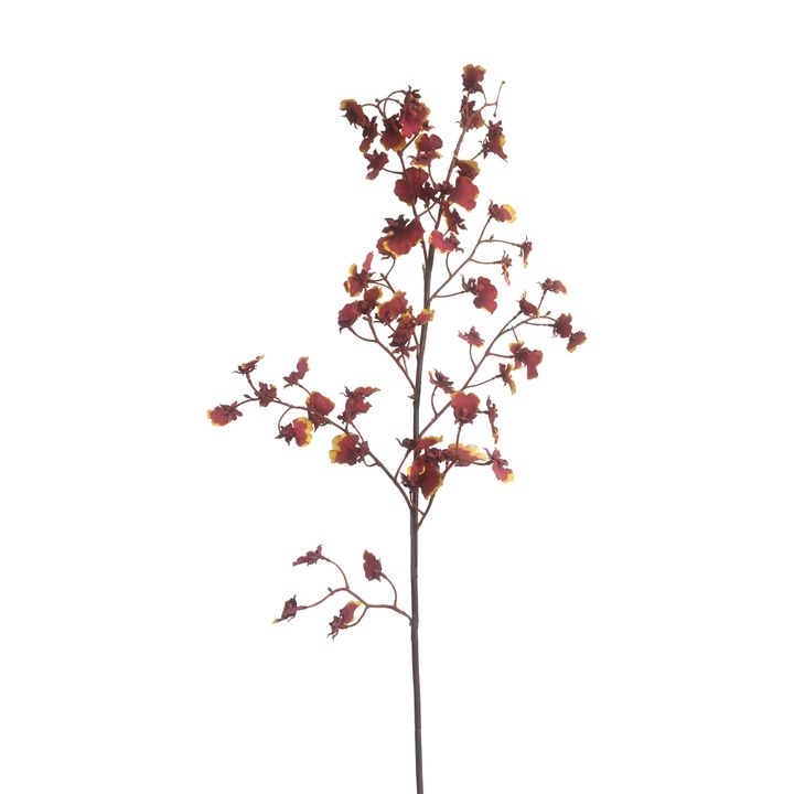 Dancing Orchid 93cm Burgundy