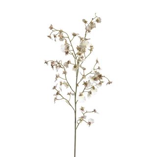 Dancing Orchid 93cm White