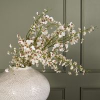 Dancing Orchid 93cm White