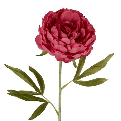 Peony Single Stem 62cm Pink