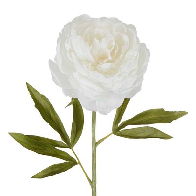 Peony Single Stem 62cm White