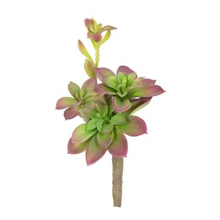 Succulent Pick 23cm Green