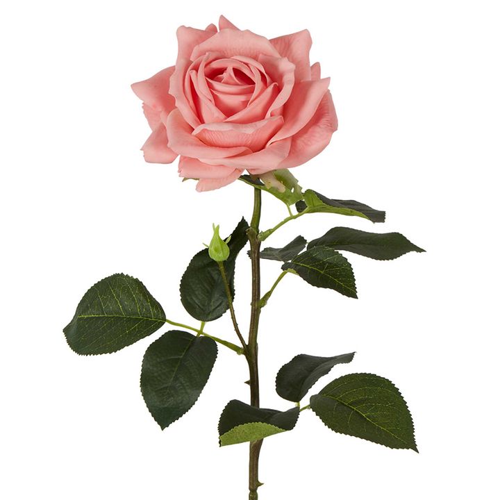 Belle Real Touch Rose Stem 65cm Pink