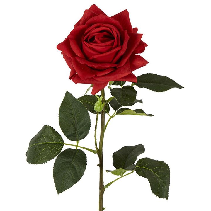 Belle Real Touch Rose Stem 65cm Red