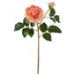 Cabbage Real Touch Rose Stem 49cm Coral