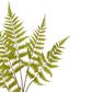 Greenspray Fern Stem 105cm