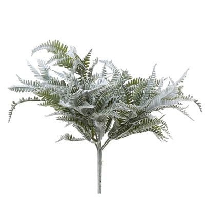 Fern Lamb Bush 45cm