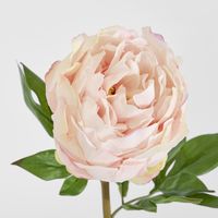 Peony Flower Real Touch Stem Pink Large