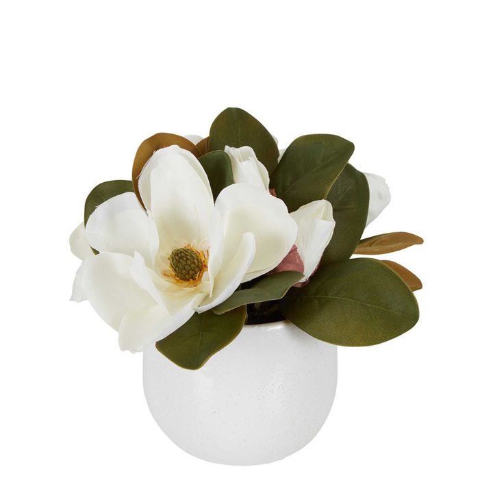 Magnolia in Ceramic Pot 28cm White