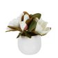 Magnolia in Ceramic Pot 28cm White