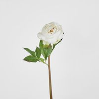 Peony Flower Real Touch Stem White Large