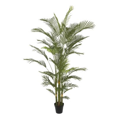 Real Touch Palm Tree In Black Pot 210cm