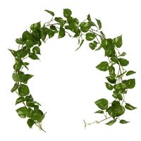 Pothos Leaf Garland Light Green