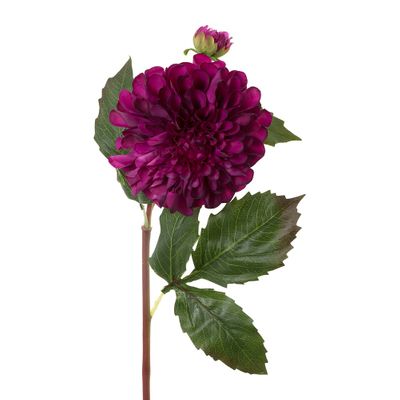 Dahlia Short Stem 50cm Purple