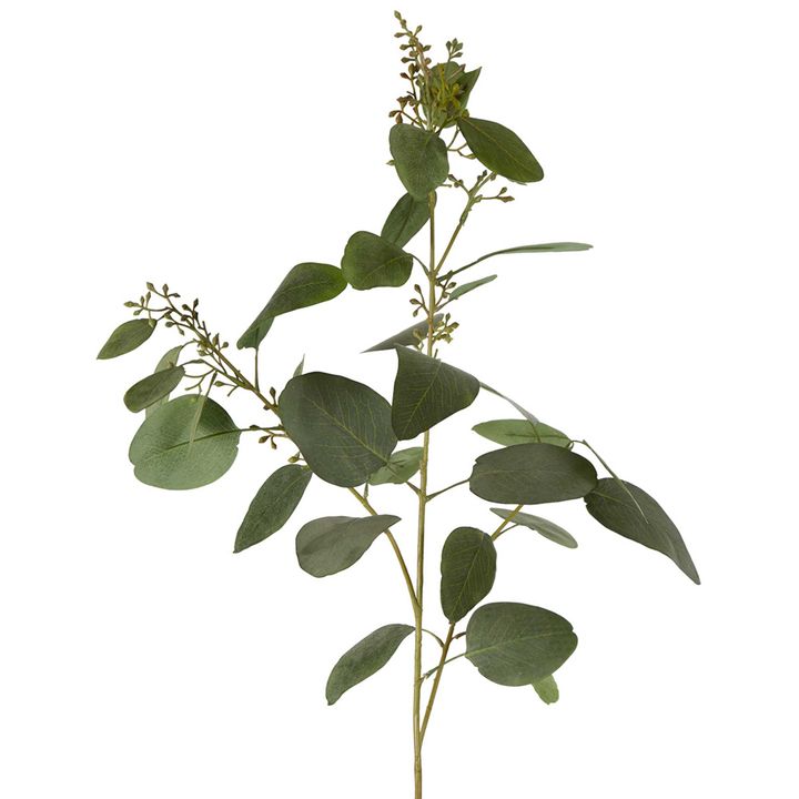 Eucalyptus Seed Spray With 20 Leaves Grey & Green