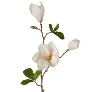 Magnolia Spray 79cm White