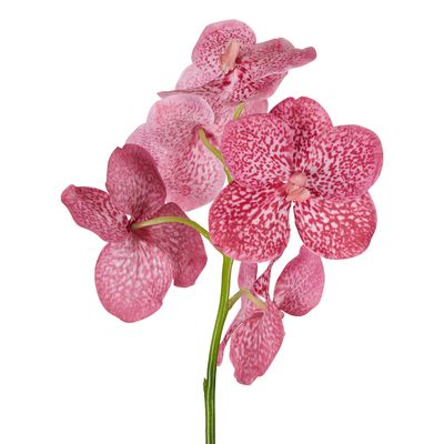 Vanda Orchid Stem 66cm Pink