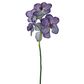 Vanda Orchid Stem 66cm Purple