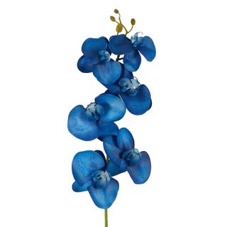 Orchid Single Stem 80cm Royal Blue