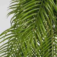 Hanging Palm Leaves Large Green