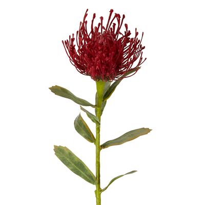 Pincushion Stem 63cm Red