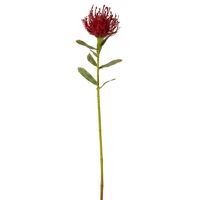 Pincushion Stem 63cm Red