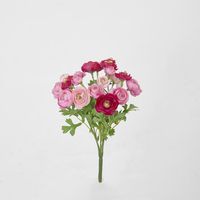 Ranunculus Bouquet Pink