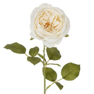 Rose Single Stem 68cm Cream