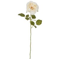 Rose Single Stem 68cm Cream