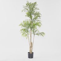Nandina Tree 180 CM