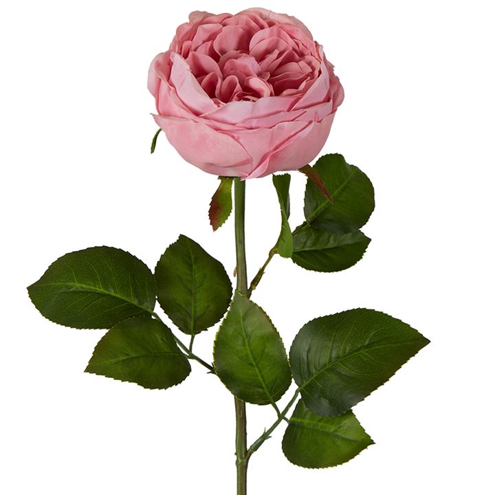 Real Touch Cabbage Rose 67cm Pink