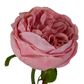 Real Touch Cabbage Rose 67cm Pink