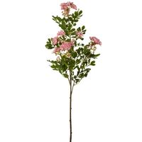 Giant Michelia Spray 115cm Pink