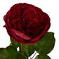 Real Touch Cabbage Rose 67cm Red