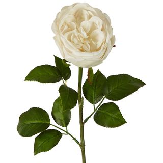 Real Touch Cabbage Rose 67cm White