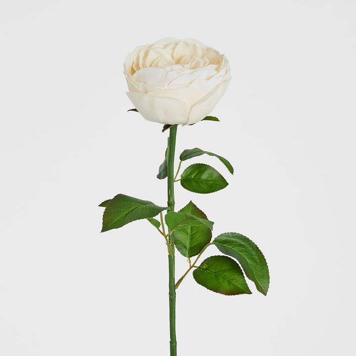 Real Touch Cabbage Rose 67cm White